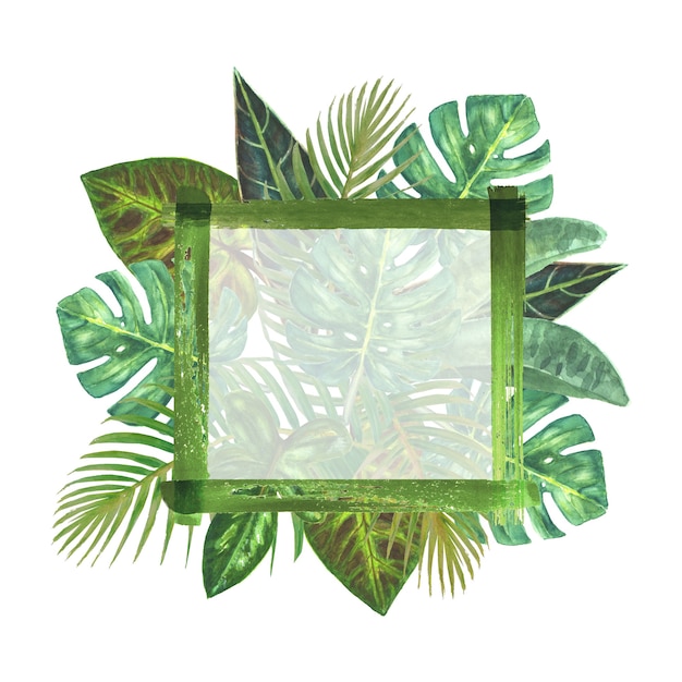 Tropical plants frame background