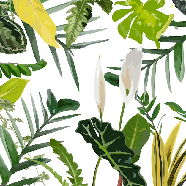 熱帯植物 png 葉 ステッカー 透明な背景