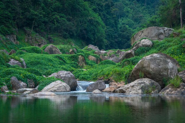 The tropical rain forest landscape view, Thailand