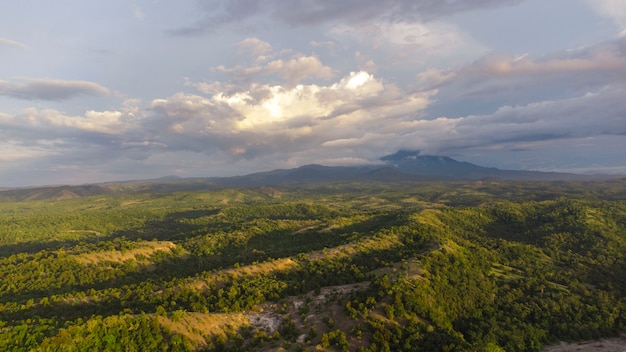 Tropical rainforest at the foot of Mount Seulawah Agam Aceh province