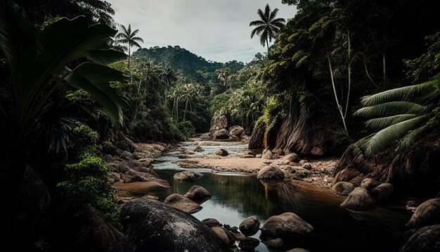 Tropical rainforest with river and rock in the jungle