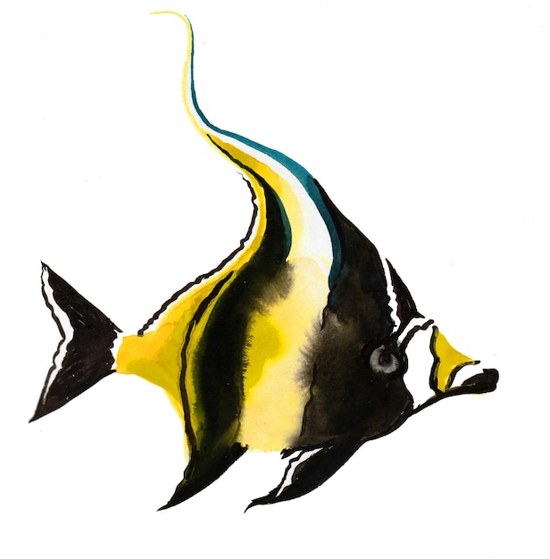 Tropical reef fish Ink and watercolor drawing