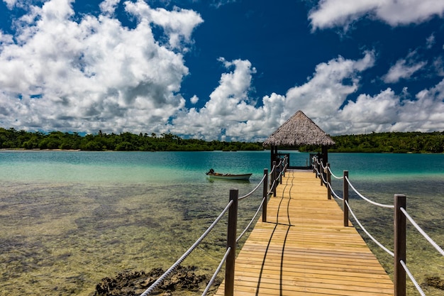 Foto vita da resort tropicale a vanuatu vicino all'isola di port file efate