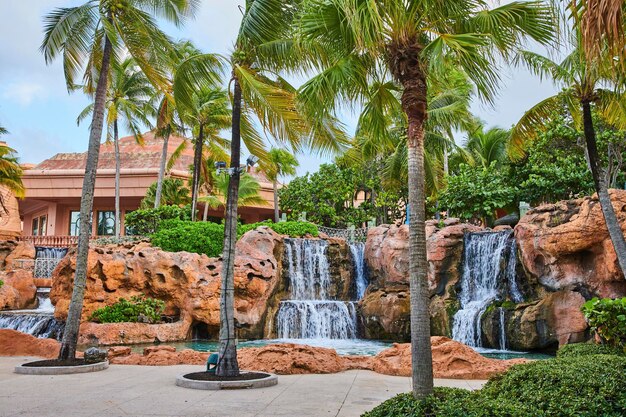 Tropical resort waterfall and palms in overcast light