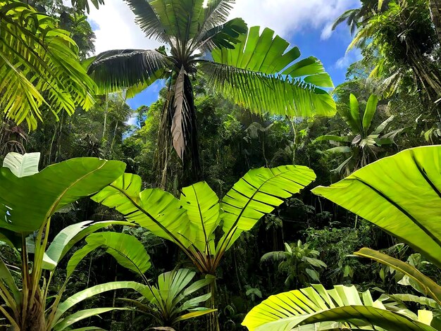 Tropical river with palm trees on both shores AI_Generated