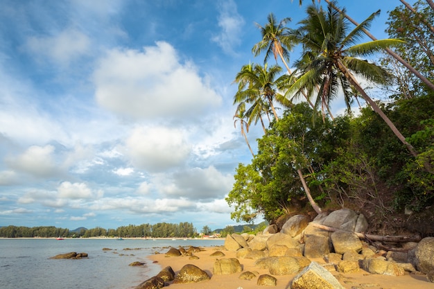 Foto spiaggia tropicale di sabbia