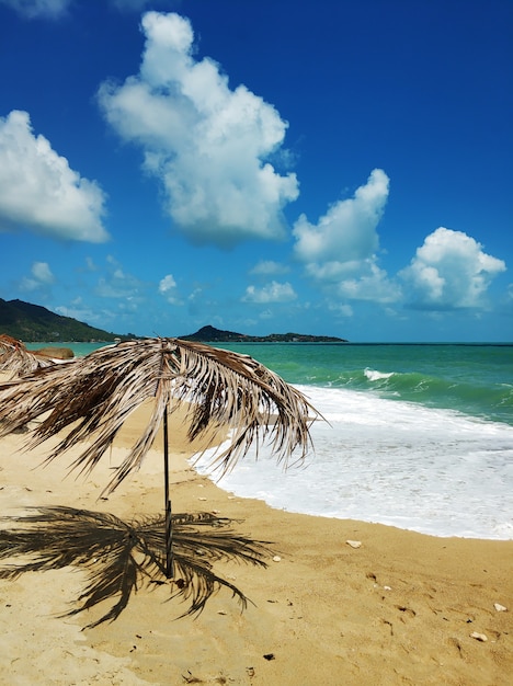 Foto spiaggia di sabbia tropicale in riva all'oceano. atmosfera di relax.