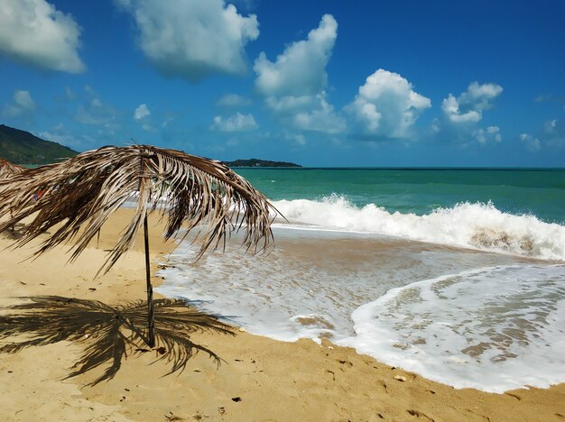 Tropical sandy beach by the ocean. Relaxation atmosphere.