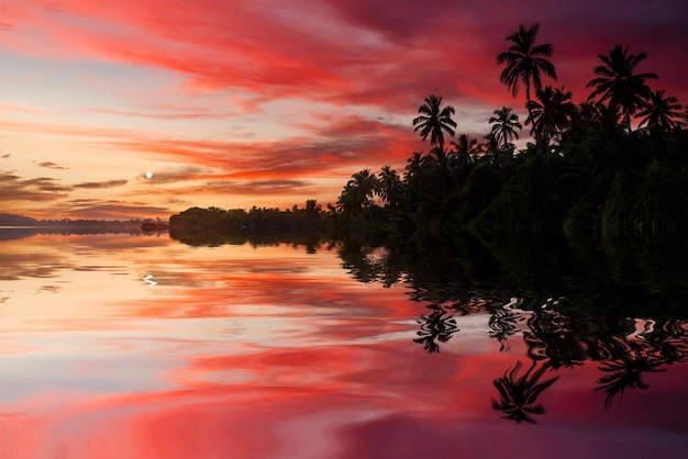 Foto spiaggia di sabbia tropicale con palme al tramonto