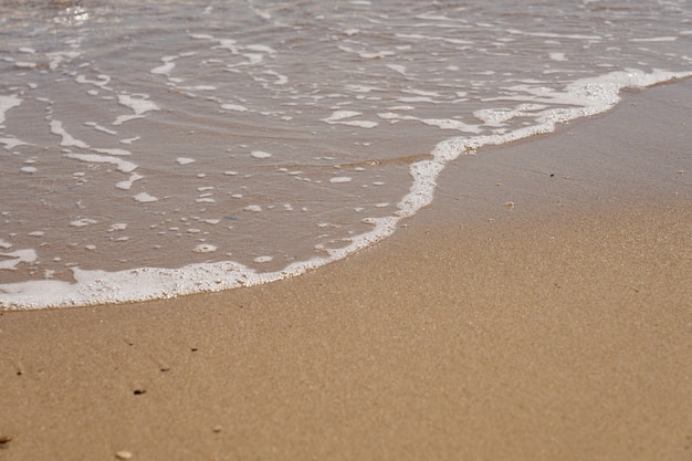 Tropical sandy beach with waves and foam.