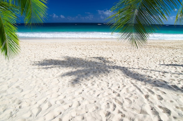 Tropical sea under the blue sky