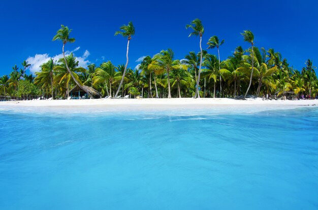 Tropical sea and blue sky