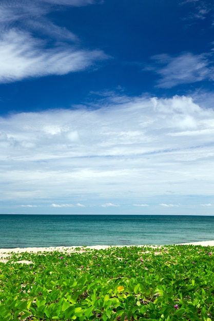 青い空の下の熱帯の海