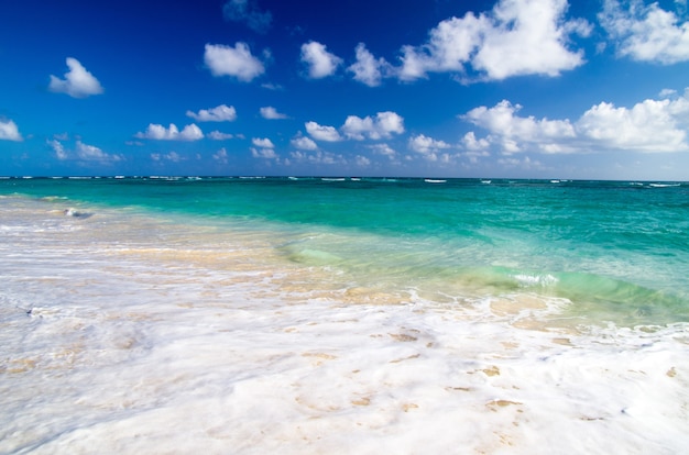 Tropical sea under the blue sky