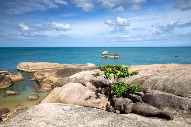 Tropical sea under the blue sky