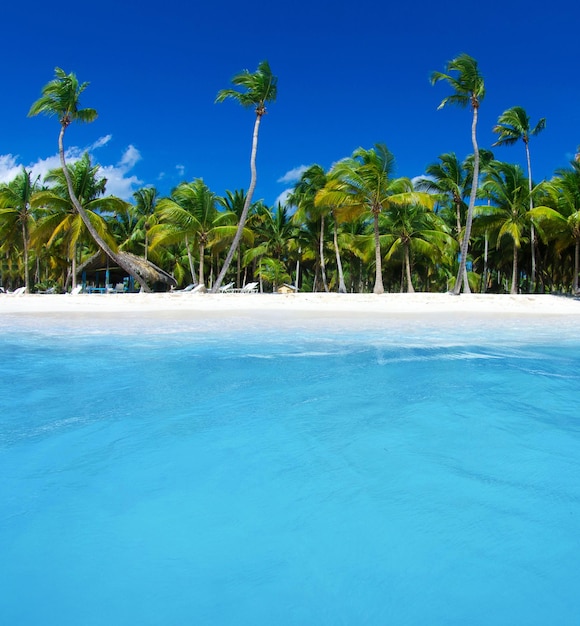 Tropical sea and blue sky