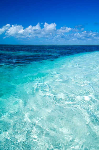 tropical sea and blue sky