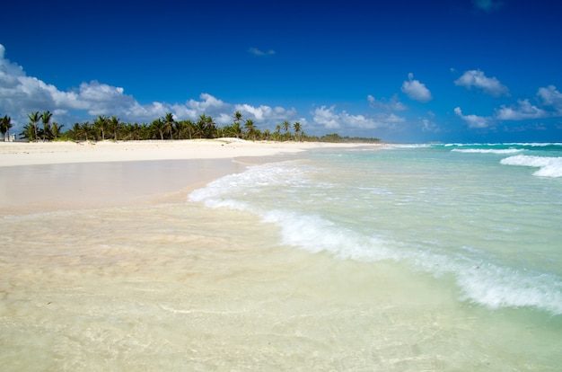 Mare tropicale sotto il cielo blu