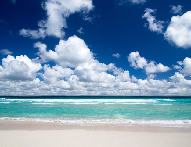 Tropical sea under the blue sky