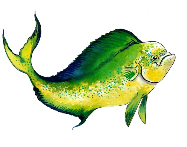 Tropical sea fish on white background Handdrawn Ink and watercolor sketch