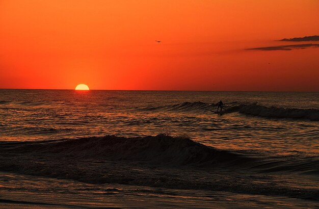 Tropical sea sunset tree sky view background