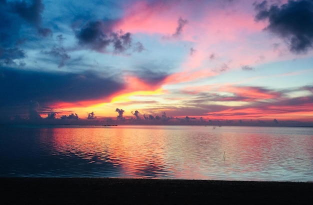 Tropical sea sunset tree sky view background