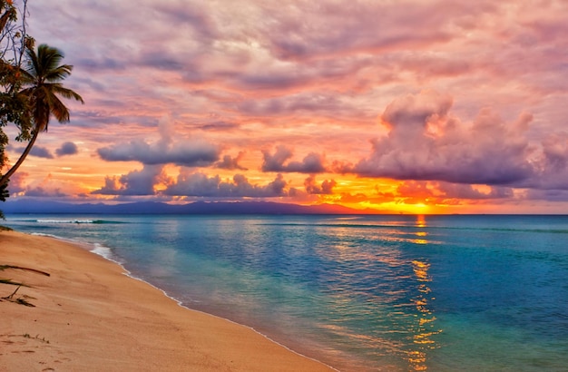 Tropical sea sunset tree sky view background