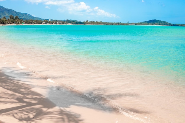 Tropical seascape Sea with sandy shore and shadow from coconut tree