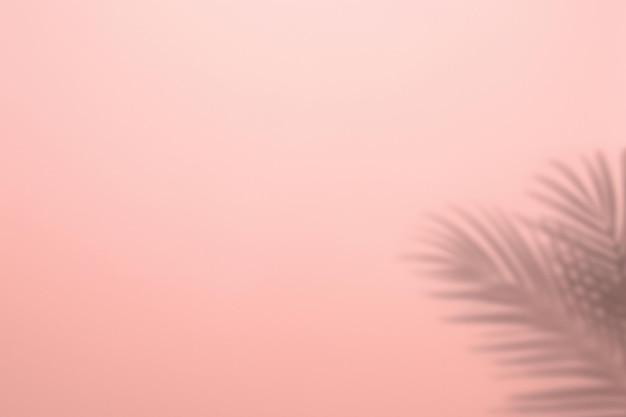 Tropical Shadows Palm Leaves Silhouetted Against Pink Wall Background