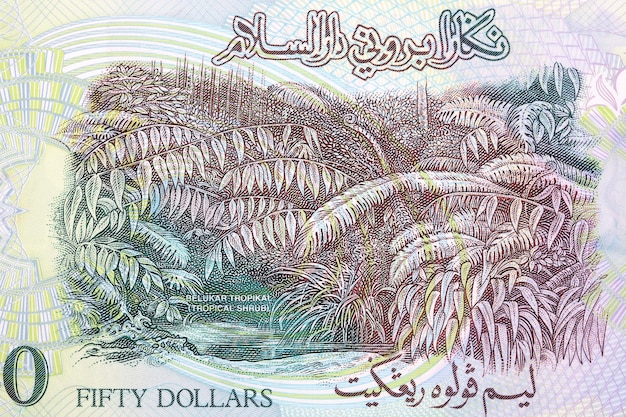 Tropical Shrub from Brunei money