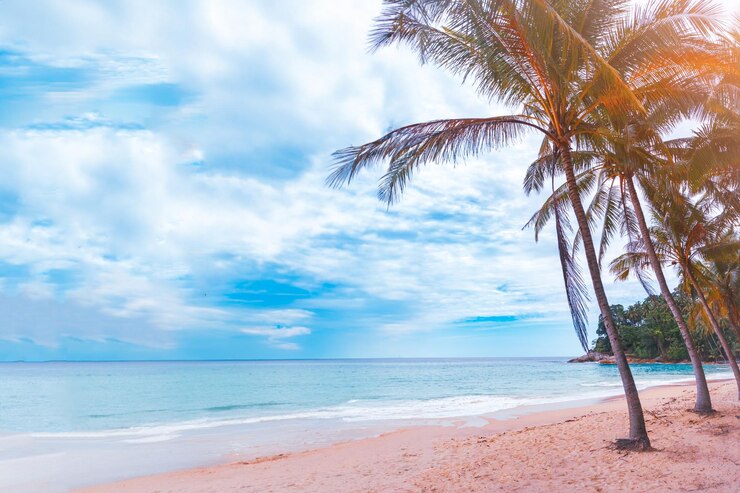 Tropical summer beach sand and beautiful sky with coconut palm tree background