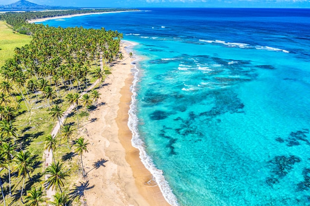 Spiaggia estiva tropicale con sfondo di palme da cocco. fondo di vacanza idilliaco mare turchese aereo drone. repubblica dominicana.