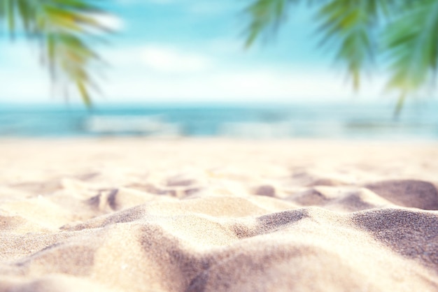 Tropical summer sand beach and palm on sea sky background