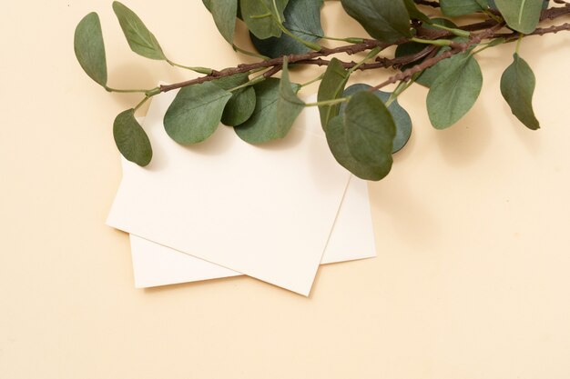 Photo tropical summer stationery mock-up scene. blank business card, green eucaliptus leaves, beige textured table background. flat lay, top view