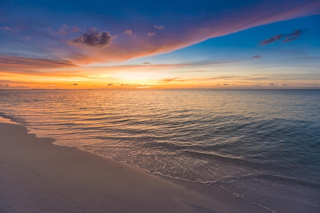 Tropical sunset beach seaside palm calm sea panorama exotic nature view inspirational seascape sceni