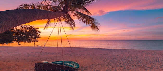 Vista tropicale della spiaggia del tramonto con la palma sopra l'orizzonte dell'acqua del mare calmo della sabbia dell'oscillazione paesaggio di vacanza