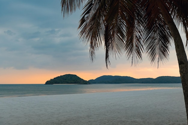 Tropical sunset under the palm tree