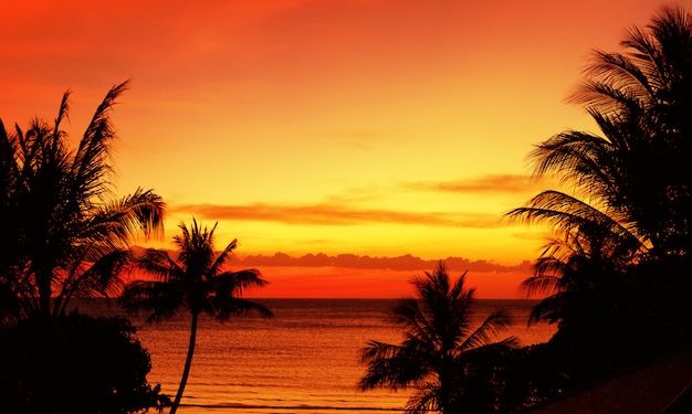 Tropical sunset