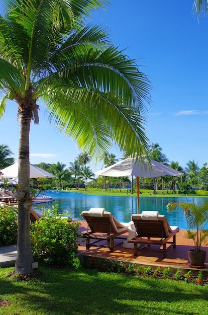 Фото Тропический бассейн с кокосовой пальмой и белым зонтиком