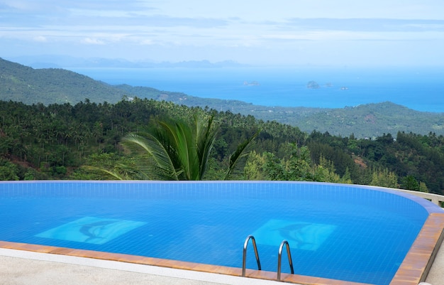 tropical swimming pool with coconut tree