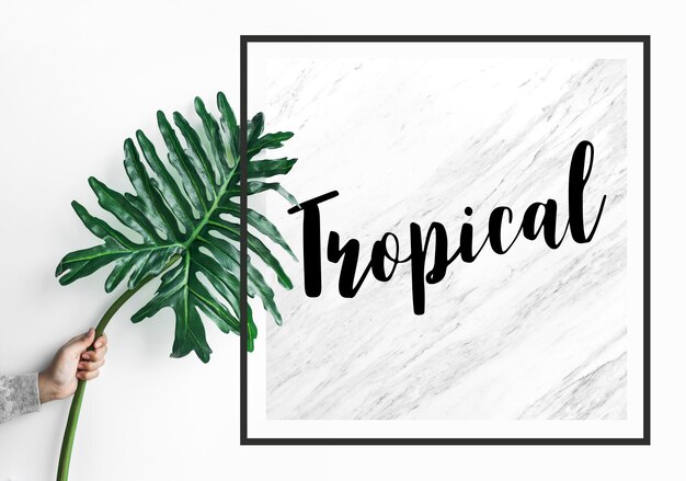 Tropical text with female holding monstera leaf on marble background