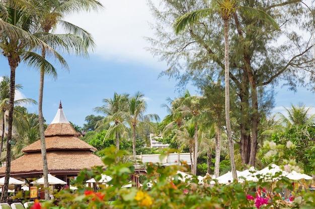 Vista dell'hotel tropical travel beach con palme e cielo blu