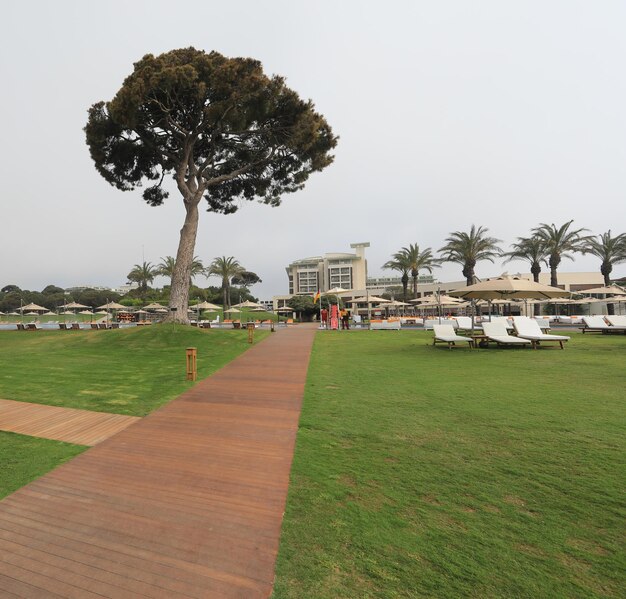 tropical vegetation in a resort hotel