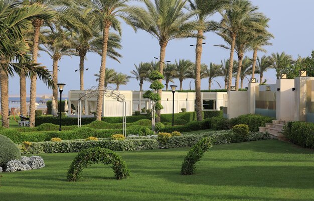 Photo tropical vegetation in a summer resort hotel