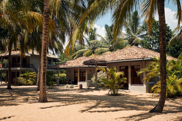 Villa tropicale sulla spiaggia con albero di cocco