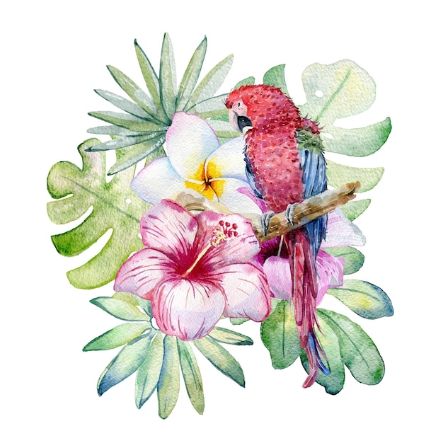 Tropical watercolor illustration parrot