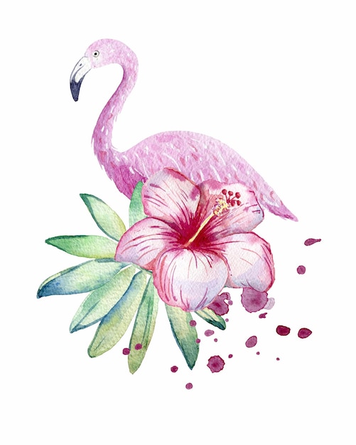 Tropical watercolor illustration