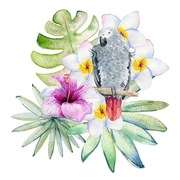 Tropical watercolor illustration