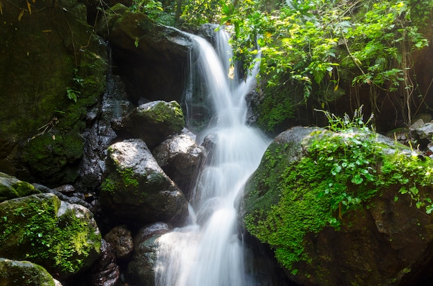 Tropical waterfall in rain forest