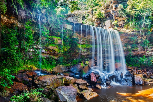 Tropical waterfall